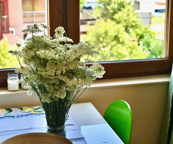 Limoncini * 索佐波尔